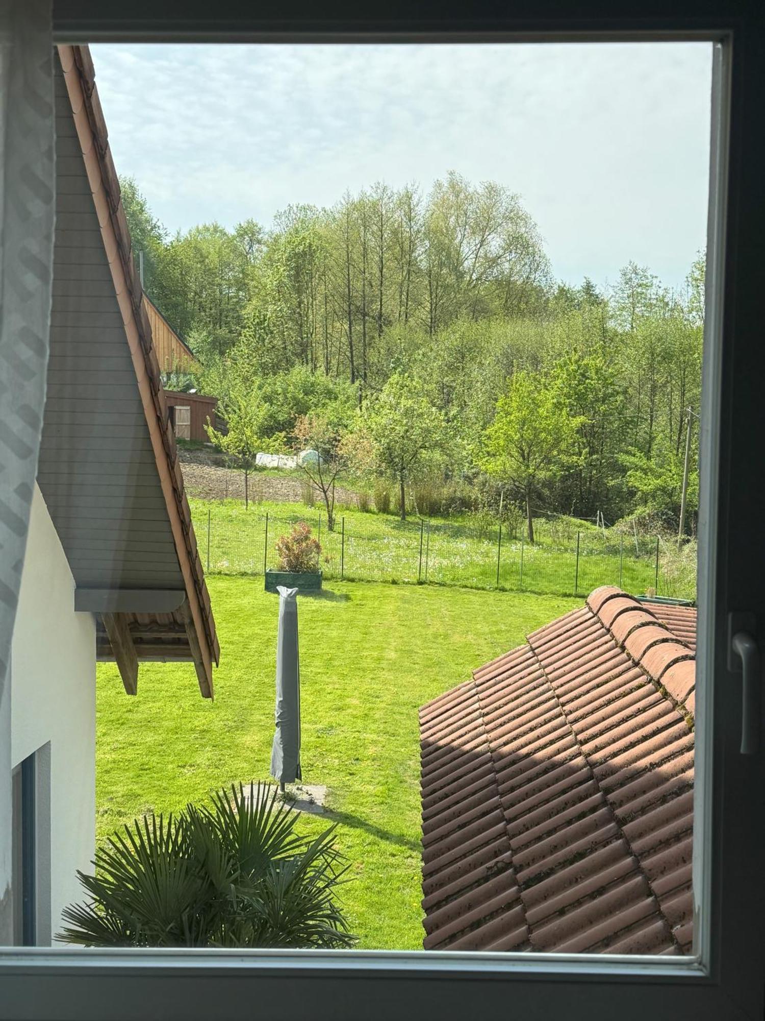Urlaub Im Naturschutzgebiet Detmold Eksteriør bilde