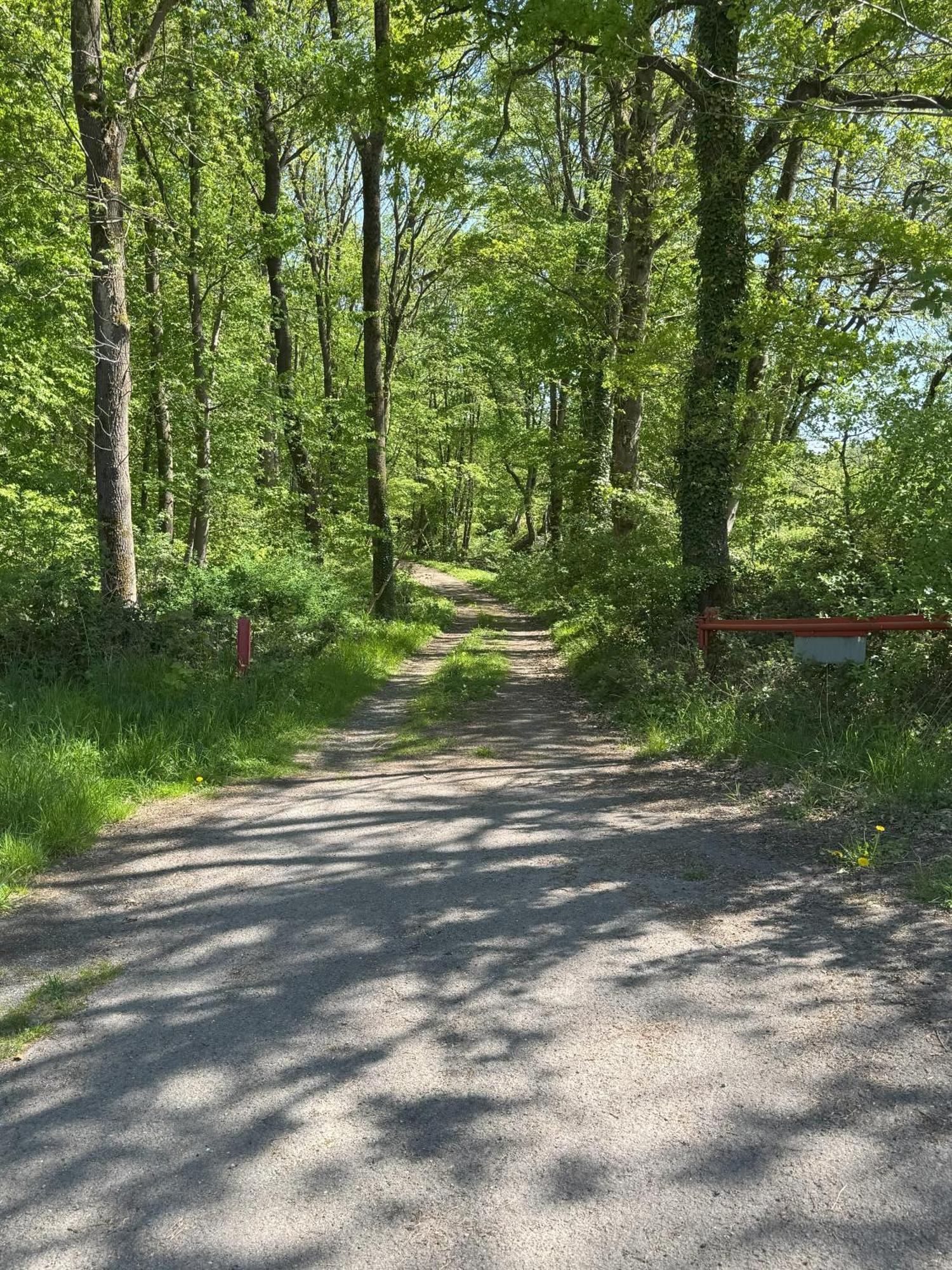 Urlaub Im Naturschutzgebiet Detmold Eksteriør bilde